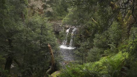 Una-Cascada-Rocosa-A-Cámara-Lenta-Detrás-De-Un-Bosque-Verde-Cubierto-De-Musgo