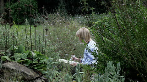 Una-Joven-Dibuja-En-El-Jardín-Botánico-En-Un-Día-De-Primavera.