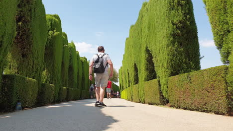 Los-Turistas-Caminan-Junto-A-Setos-Y-Cipreses-En-Alhambra,-Granada,-España