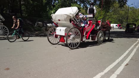 Pferdekutschen-Im-Central-Park-Von-New-York-Sind-Eine-Beliebte-Touristenattraktion-Und-Sorgen-Für-Ein-Unterhaltsames-Erlebnis-In-Manhattans-Sehenswürdigkeiten