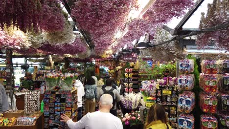 El-Mercado-De-Flores-Bloemenmarkt-En-Amsterdam-Es-Una-Atracción-Turística-Que-Ofrece-Souvenirs,-Flores-Y-Semillas-Y-Es-Uno-De-Los-Principales-Destinos-Turísticos-En-Amsterdam,-Países-Bajos,-Europa.