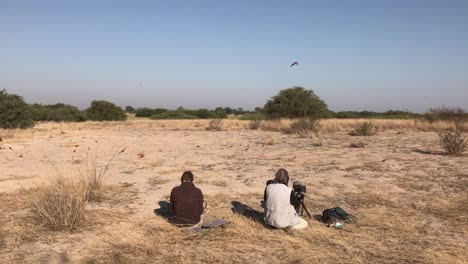 Safari-guests-photograph-Southern-Carmine-Bee-eaters-in-large-colony