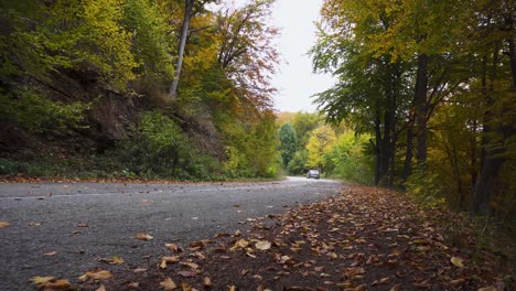 A-car-driving-through-an-autumnal-forest-and-blowing-the-fallen-leaves