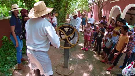 Slow-motion,-traditional-elaboration-process-of-henequen-strings-in-a-farm-in-the-state-of-Yucatan