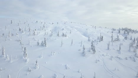 Flying-drone-over-snow-covered-trees-higher-up-the-fjell-mountain-at-Pallas-Yllästunturi-National-Park-in-Lapland-Finland