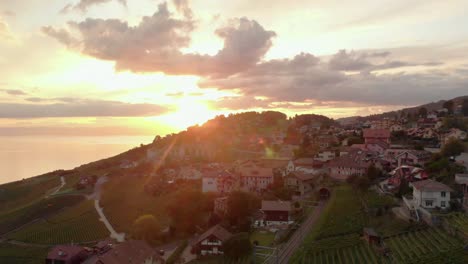 Imágenes-De-Drones-De-Suizos-Cerca-Del-Lago-Leman,-Que-Muestran-Campos-De-Uva,-Barcos,-Puerto,-Pueblos-Pequeños