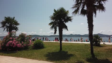 Palm-trees-and-tourists-at-Zadar's-Sea-Organs-on-the-Adriatic-coast