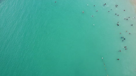 Aerial:People-playing-and-having-fun-in-tropical-green-clear-ocean-water