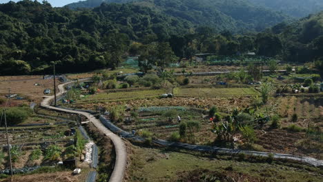 Aerial-View-Wide-shot-of-Lai-Chi-Wo-farmland,-Mountains-in-Background