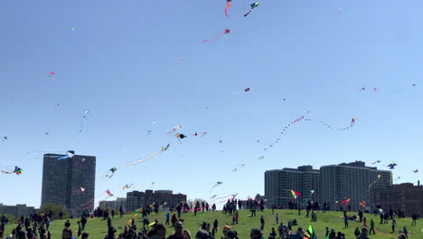 Toma-Amplia-Mirando-Al-Suroeste-En-Cricket-Hill-En-El-Puerto-De-Montrose-En-Chicago-Con-Gente-Volando-Cometas-Durante-El-Festival-De-Niños-Y-Cometas.