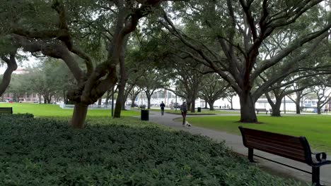 4K-Aerial-Video-of-St-Pete-City-Park