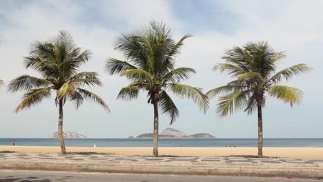 Palmeras-A-Lo-Largo-De-La-Playa-De-Ipanema-Con-Personas-Con-Y-Sin-Máscaras-Corriendo,-Trotando,-Andando-En-Bicicleta,-Caminando,-En-Bicicleta-Y-En-Patineta-Pasando-Durante-El-Brote-De-Coronavirus-Covid-19