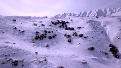 Aufsteigende-Luftaufnahme-Von-Stark-Schneebedeckten-Bergen-Und-Einem-Einzelnen-Baum-Im-Hintergrund-An-Einem-Kalten,-Sonnigen-Tag-Im-Winter
