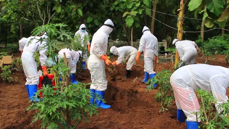 El-Proceso-Funerario-De-Un-Cadáver-Infectado-Con-El-Virus-Corona-Con-El-Protocolo-Covid-19