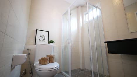 Clean-and-Simple-Bathroom-With-Shower-Box