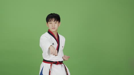 Asiatischer-Junge-Demonstriert-Kampfkunst-Verteidigungsblöcke-Und--positionen---Grüner-Hintergrund
