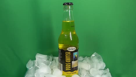 3-3-Best-Selling-Carribbean-Carbonated-Island-Soda-since1922-distribution-in-Central-America-North-America-and-Tropics