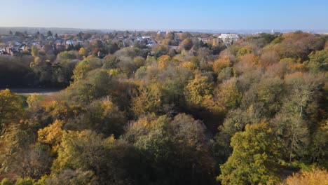 Autumnal-winter-forest-trees-beside-Belgium-town-suburbs,-aerial-view