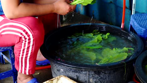 Lavado-De-Pok-Choy-Vegetal-Orgánico