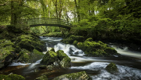 Time-lapse-of-spring-forest-park-waterfall-surrounded-by-trees-with-rocks-and-walking-bridge-in-the-foreground-in-rural-landscape-of-Ireland