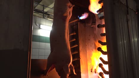 Cleaning-pigs-burning-hairs-in-slaughterhouse