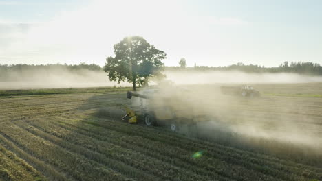 Combine-Harvester-machine-harvesting-rye-grain-cereal-crop,-aerial-view