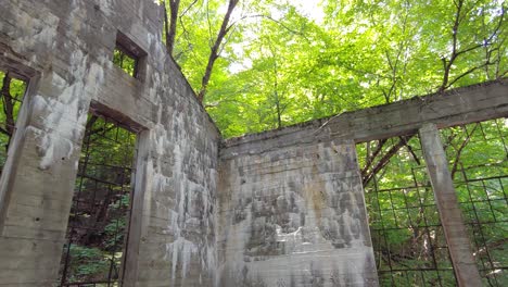 Panning-shot-of-an-old-mysterious-ruined-building-in-the-middle-of-the-forest