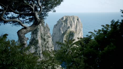 Hermosa-Vista-De-Los-Faraglioni-De-Capri,-En-Italia,-Escondido-Entre-Un-Arbusto-Y-Un-árbol