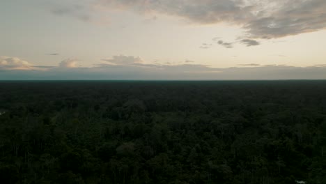 Toma-Aérea-De-Un-Denso-Bosque-Durante-La-Puesta-De-Sol