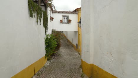 Spaziergang-In-Einer-Engen-Straße-Im-Schloss-Von-Ã“bidos-Mit-Blumen,-Die-An-Der-Wand-Wachsen