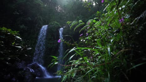 Sunbeam-shining-between-deep-trees-into-jungle-with-waterfall-and-flowers---low-angle