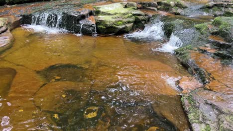 Slow-moving-woodland-stream-with-water-flowing-over-the-rocks-into-a-golden-pool
