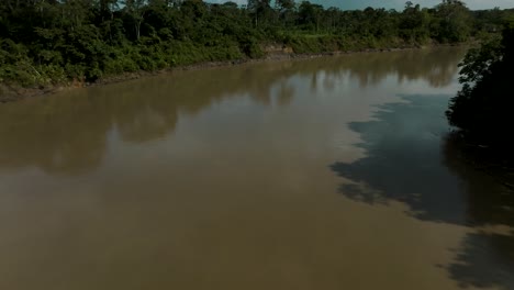 Vista-De-La-Selva-Tropical-Junto-Al-Río-Amazonas-En-Ecuador,-Sudamérica