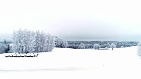 Perfekte-Winterlandschaft