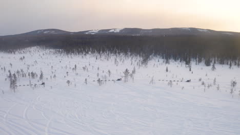 Group-of-running-dogs-racing-across-snowy-white-winter-Lapland-mountain-landscape-aerial-sunrise-view