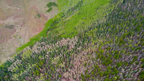 Disparo-Aéreo-De-Un-Dron-Sobrevolando-Una-Colina-De-Montaña-Rocosa-Cubierta-De-Coloridos-álamos-Verdes-Y-Pinos-Durante-El-Día-De-Verano-Cerca-De-Telluride,-Colorado,-EE.UU.