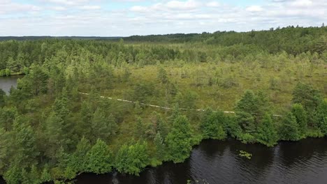 Distant-drone-video-of-forest-road-next-to-lake