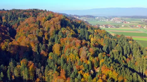 Drone-flight-in-autumn-over-a-colorful-and-rural-forest-in-Switzerland-near-Bern-in-4k