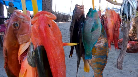 Una-Variedad-De-Coloridos-Peces-De-Arrecifes-Marinos-Tropicales-Recién-Capturados-Colgados-En-Un-Puesto-En-El-Mercado-En-La-Remota-Isla-Tropical-De-Atauro,-Timor-Leste,-Sudeste-Asiático