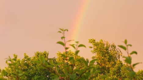 Delicate-delightful-sight-of-rainbow-in-utopia