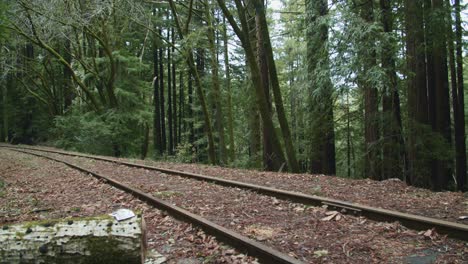 Eisenbahnstrecke-Im-Wald