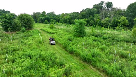 Luftaufnahme-Von-Teenagern,-Die-Mit-Dem-ATV-Durch-Grasbewachsenes-Sumpfland-Fahren