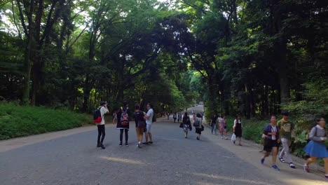 Pov,-Meiji-Shinto-Schreineingang-Zu-Fuß