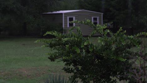 Small-tree-lightly-blowing-in-the-wind-in-the-middle-of-a-hurricane-with-light-rain-and-a-shed-in-the-background