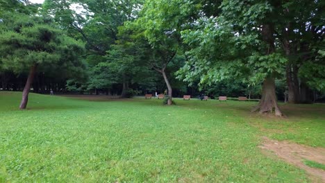 Mit-Menschen-Im-Yoyogi-Park-Spazieren-Gehen