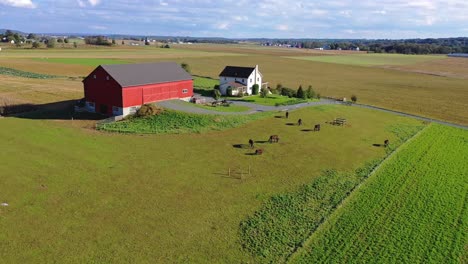 Herd-of-horses-peacefully-grazing-on-meadow-in-front-of-red-barn,-a-family-home,-fields-rolling-hills-with-woods-and-residential-areas-in-background,-orbiting-aerial-shot