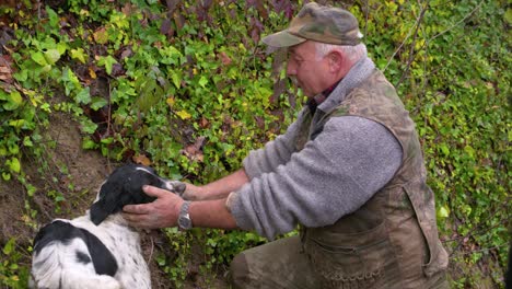 Ein-Mann-Gibt-Seinem-Hund-Leckereien-Und-Streichelt-Ihn,-Während-Er-In-Den-Italienischen-Wäldern-Nach-Trüffeln-Für-Die-Gourmetküche-Sucht