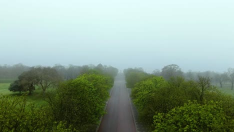 Beautiful-Foggy-drone-shot-of-the-road-and-tree's