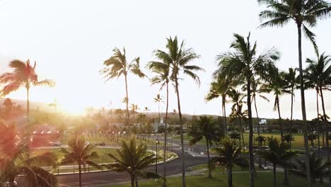 Toma-De-Drones-De-Todas-Las-Palmeras-En-El-Campus-De-La-Universidad-Brigham-Young-De-Hawaii-Durante-Las-Horas-Del-Atardecer.