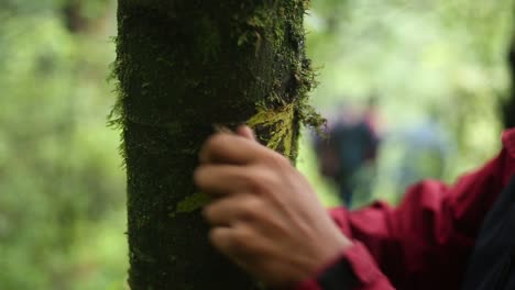 Un-Montañero-Del-Himalaya-Marca-La-Flecha-De-Dirección-En-La-Corteza-De-Un-árbol